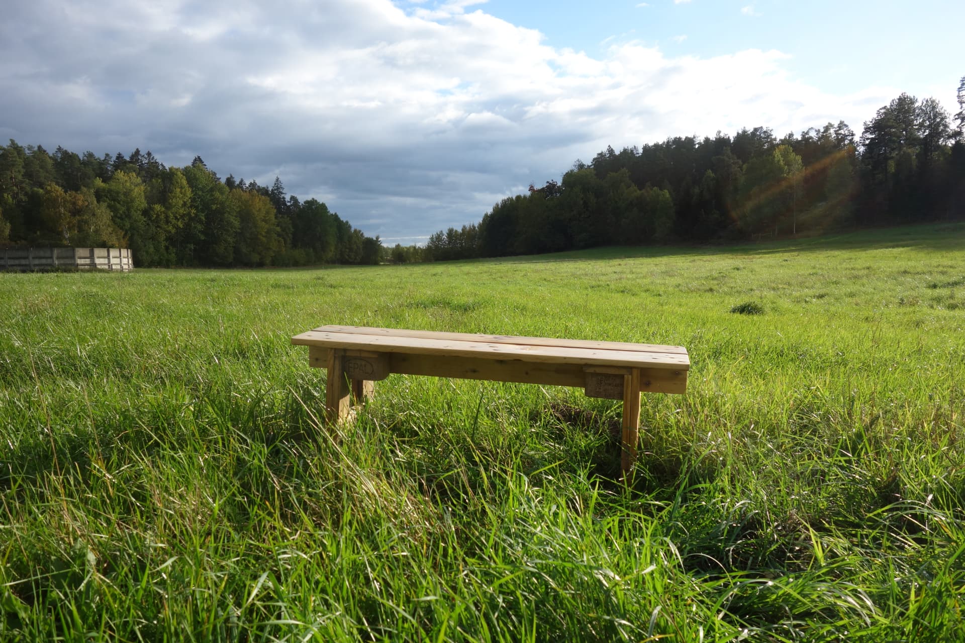 Pallbänk av återanvänd EPAL-pall stående på en grön äng